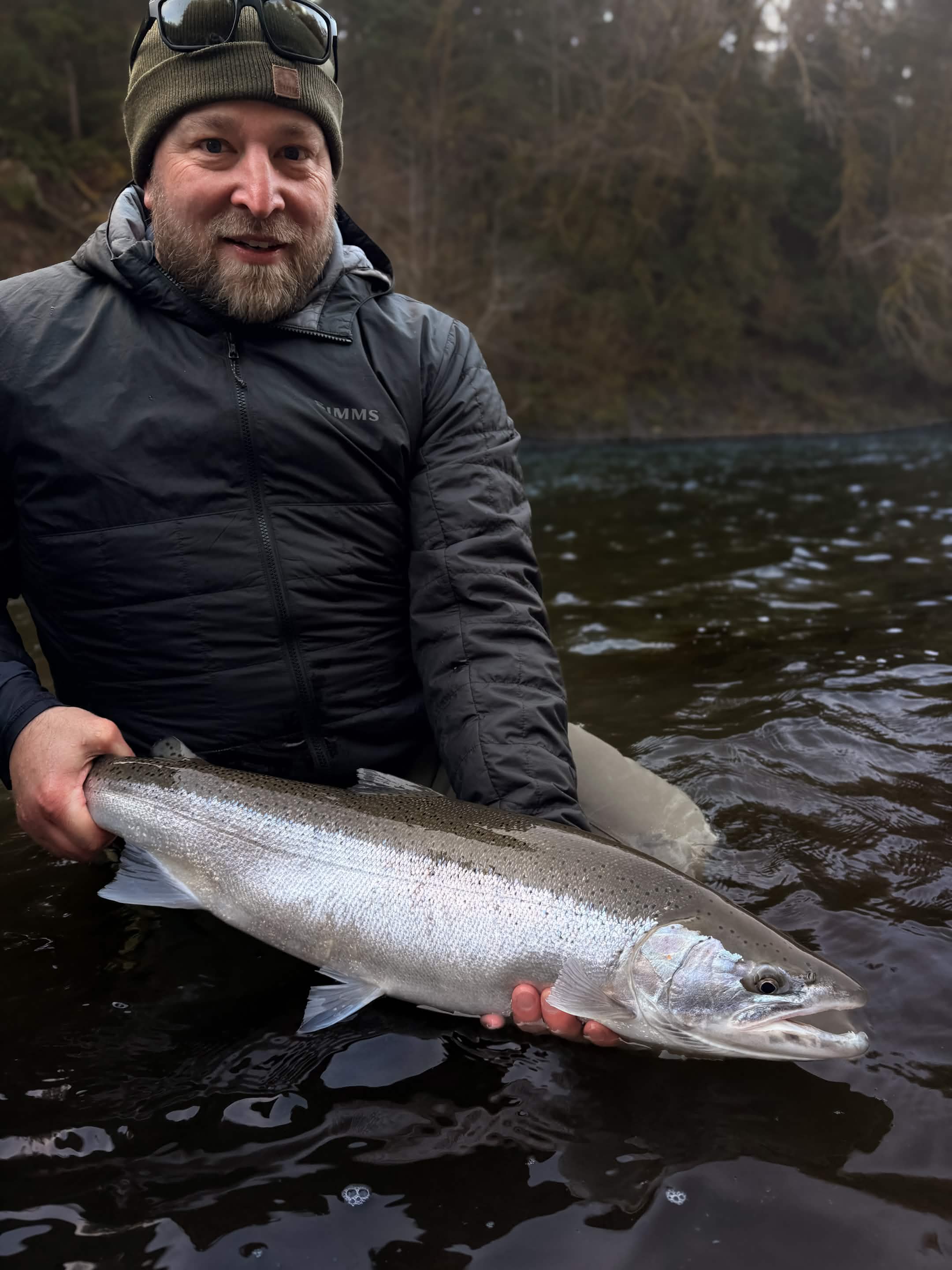 Angler holding a hatchery winter steelhead on a Washington river